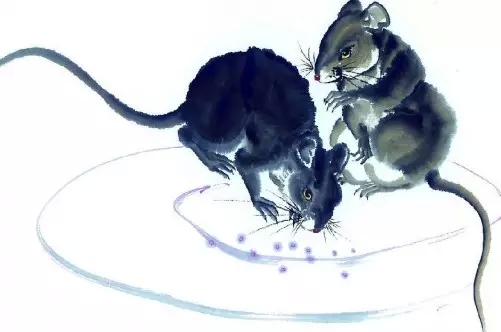 【婚姻】中国知名O2O婚恋交友社交平台搜恋