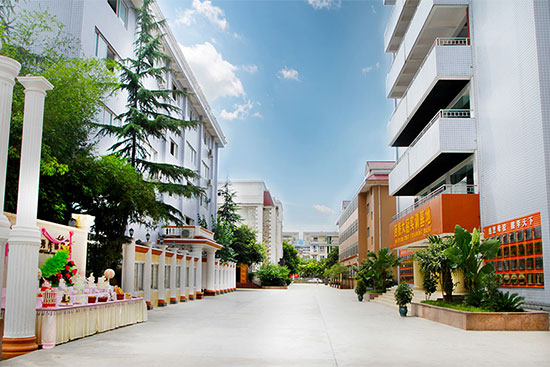 成都学西点的学校?选成都新东方西点学校