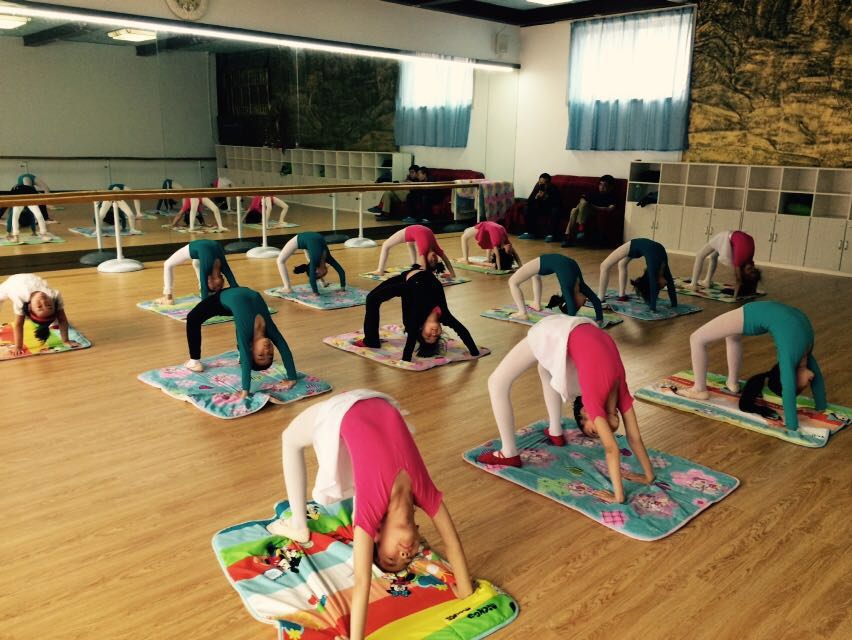 唐山专业的舞蹈培训学校有哪家?唐山市夏欣艺