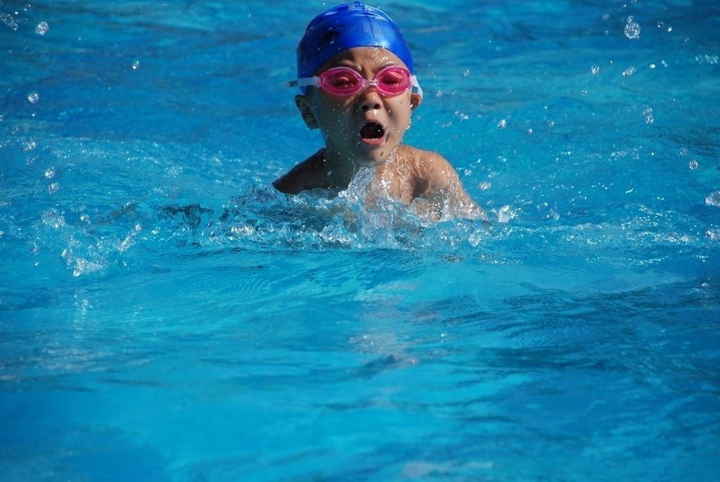 少儿学习游泳的培训场所 成人一对一游泳培训