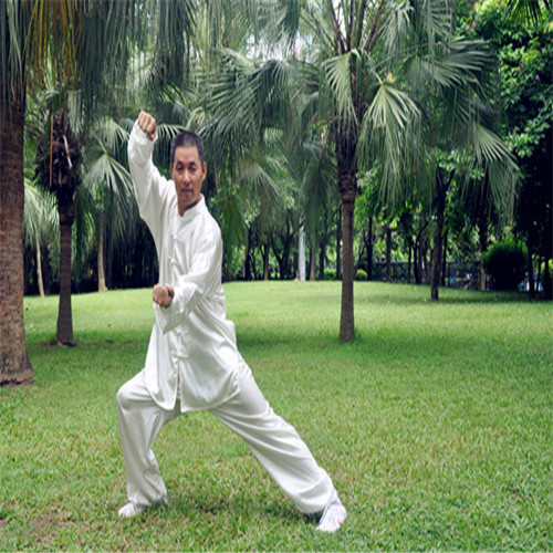 留仙洞零基础太极十二拍教学