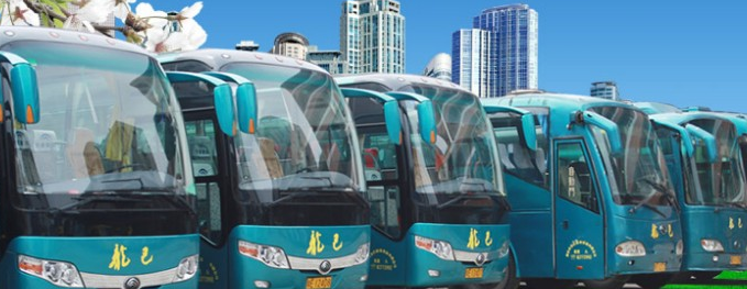 崇文规模大的大巴车租赁公司网