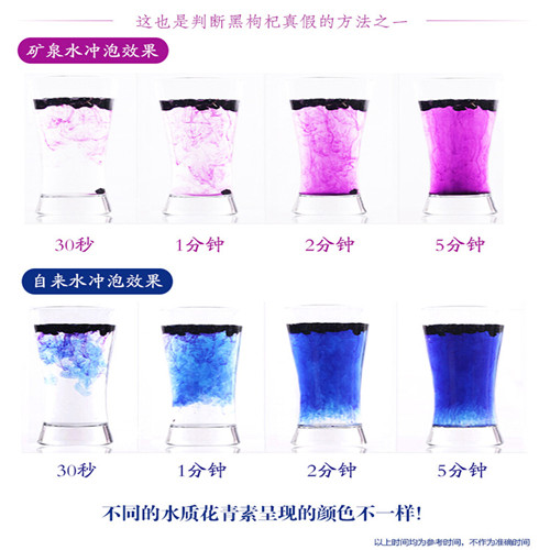 成都有没有正宗的青海野生黑枸杞卖 黑枸杞代销点 - 潍坊第一门户