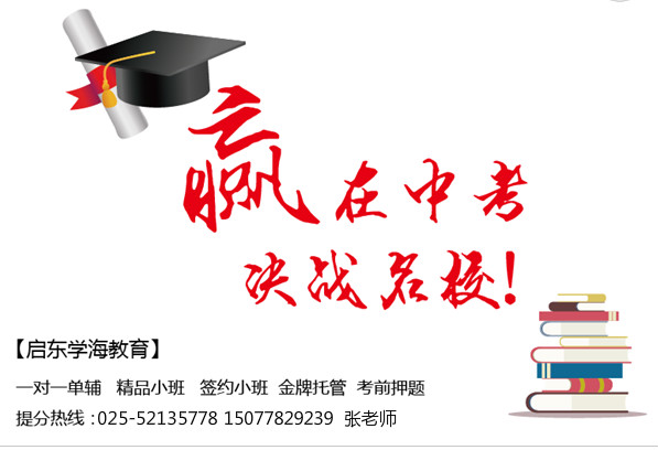 南京中考语文复习总攻略 - 教育文化