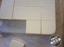 滨州豆腐培训学习去哪学-咨询培训-商讯中心