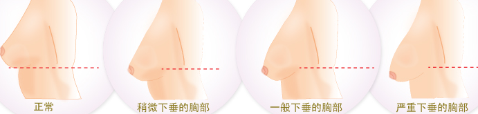 燕子玫瑰内衣分享,咪咪长期空杯的坏处