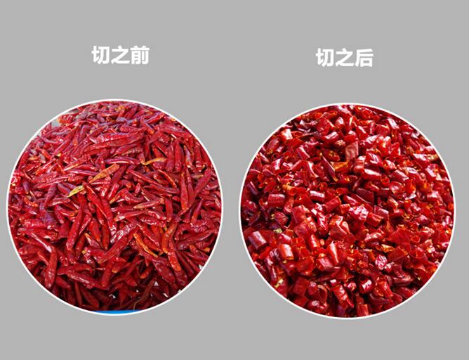 贵州辣椒切段机全自动切辣椒机械