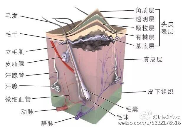 我就问问,斑tu你怕不怕 云盟在线