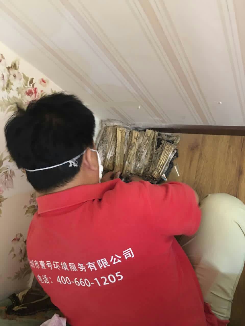 深圳罗湖灭白蚁公司知识:白蚁对人体、建筑有