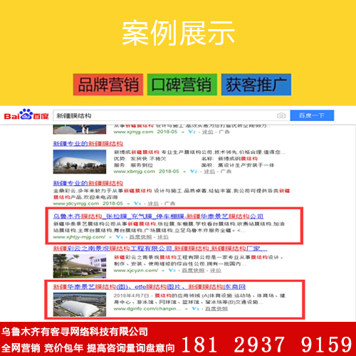 网站排名服务_网站历史排名记录(2)
