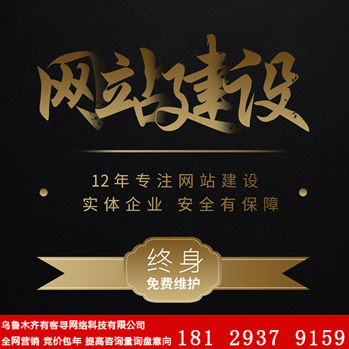 乌鲁木齐建网站，建站领跑者