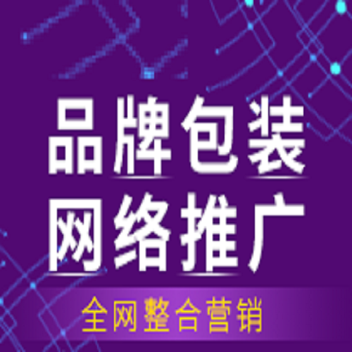 视频营销
