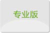 专业版