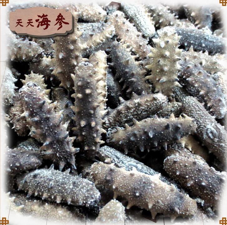 批发烟台长岛海参\/河北野生冻干刺参厂家直销