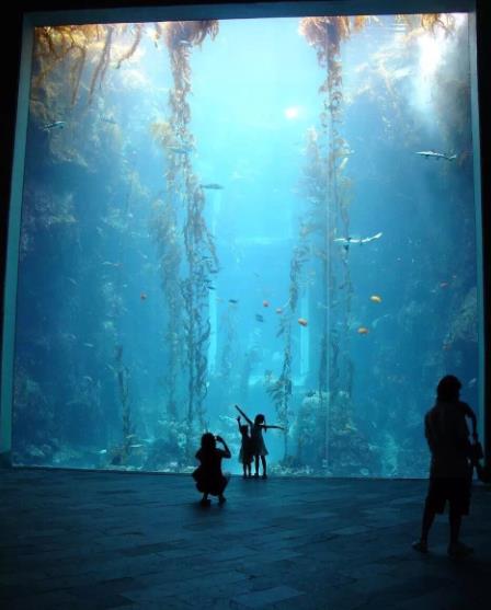 鄂州酒店海鲜池设计收费 - 东楚网