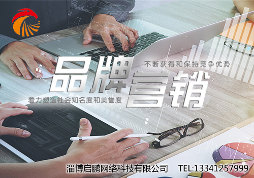 临淄专业网站制作、网站建设,就选淄博启鹏网络