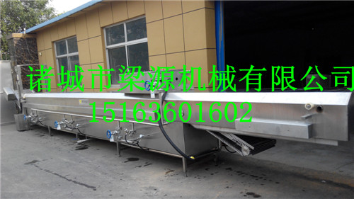 哪里的鱼丸蒸煮线生产厂家质量好?诸城梁源质