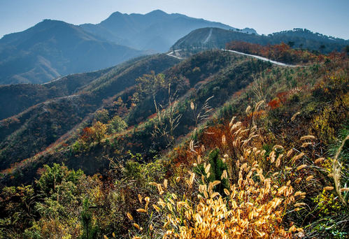 烟台哪里好玩不得不去的地方烟台户外拓展点朱雀山怎么去