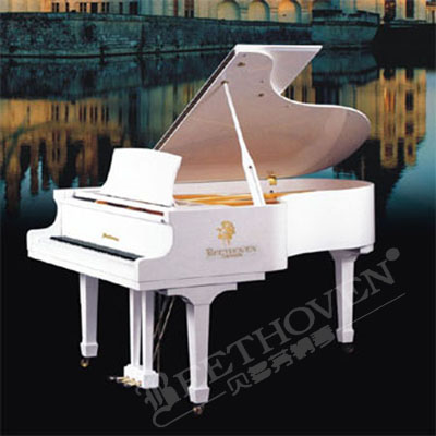 我想买一款外形优雅的白色钢琴珠江海伦卡哇伊贝多芬钢琴