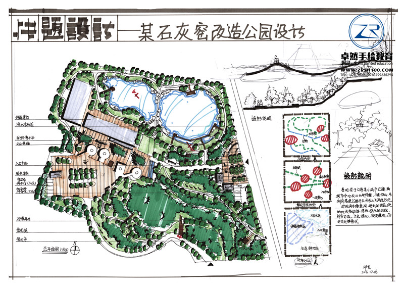 ps植物图例素材 植物图例手绘 ps平面植物素材 ps植物