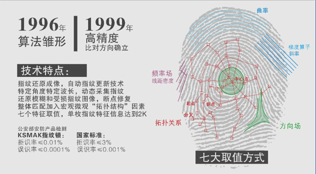 金指码风雨20载:不忘初心,方得始终 - 云盟在线