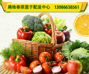 成都满地春配送有机蔬菜新鲜有机食品供销商你