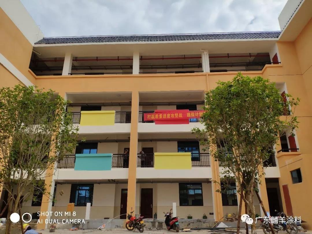 中街百东小学新区即将使用麟羊小学总经理莅临北京西涂料百色图片