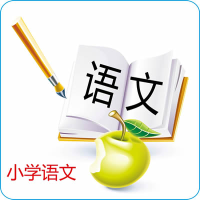 辅导班名字