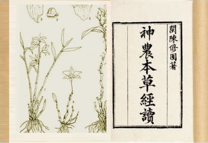 b0772e900068