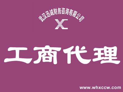 武昌会计代账哪家好 - 中介代理 - 东楚网