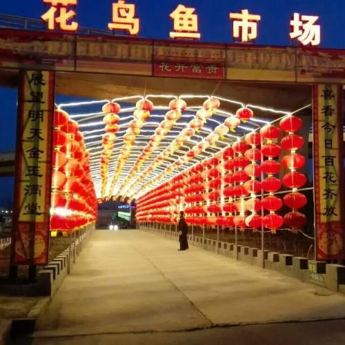 太原花卉出租市场介绍小桔子树剪枝的方法