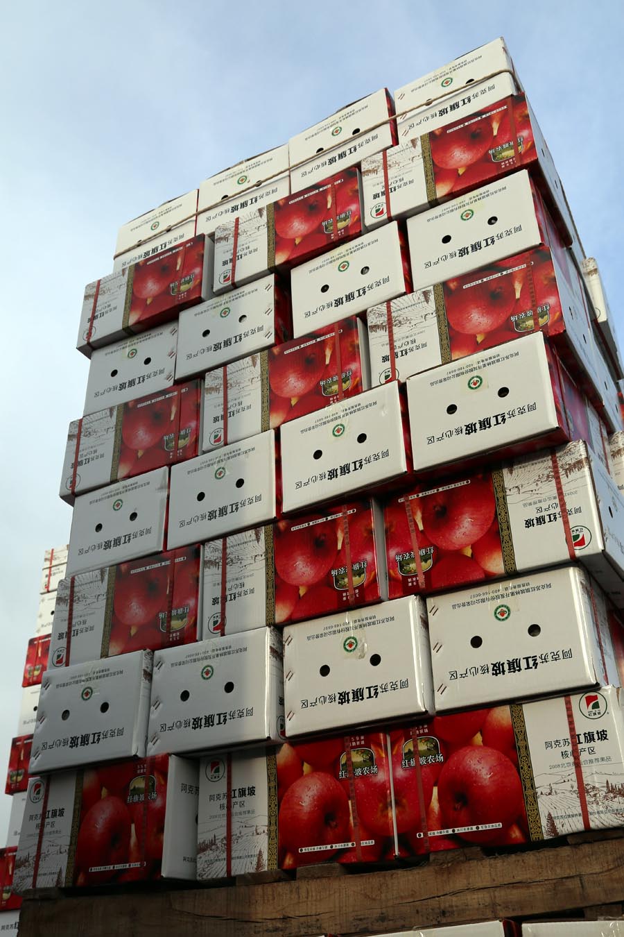 阿克苏苹果叉车 阿克苏苹果叉车