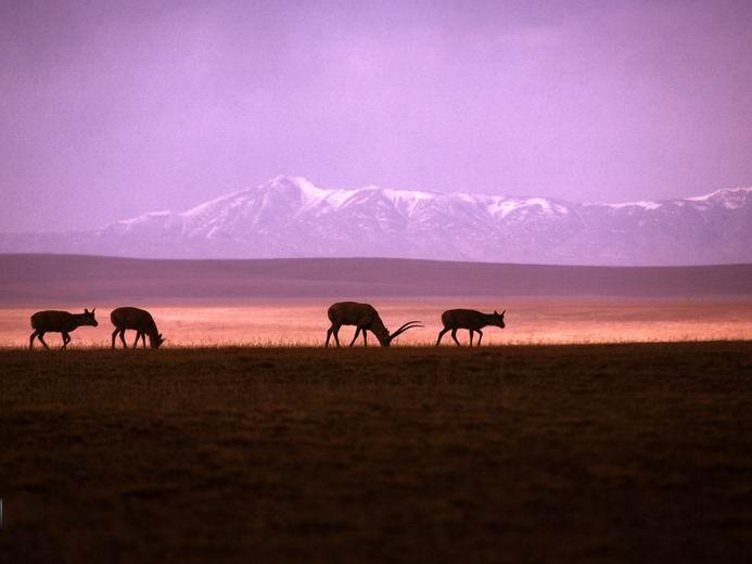 川藏线旅游如何来规划行程线路 川藏线自驾游