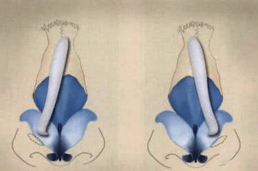 ͼƬ27