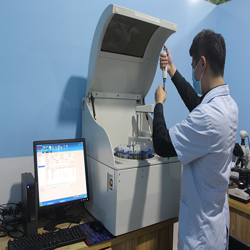 大学城宠物医疗机构开办条件?宠物医疗机构地