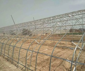 临沂双模骨架大棚工程安装厂家诚信为先