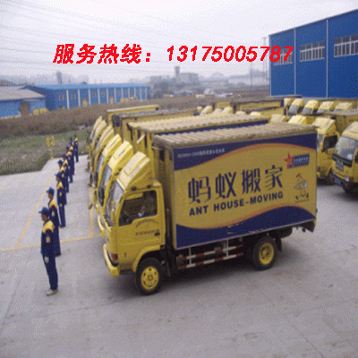 杭州西湖区搬家0571-85515310,杭州蚂蚁搬家仓鼠怎样才能怀孕图片图片
