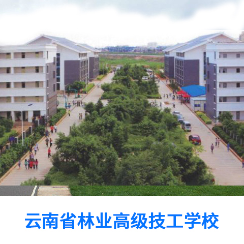 云南省林业高级技工学校