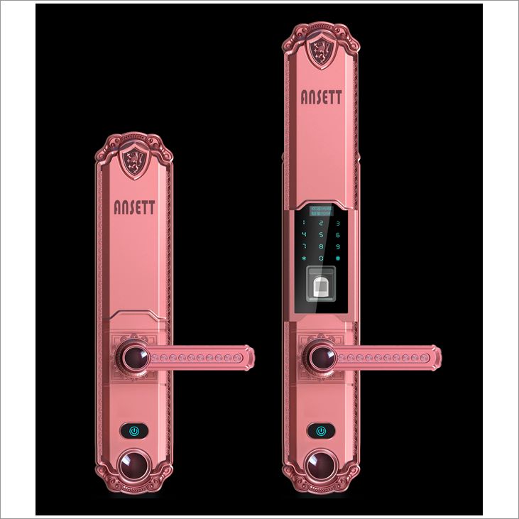 龙华什么品牌指纹锁好?索仕顿销量领先 - 西楚