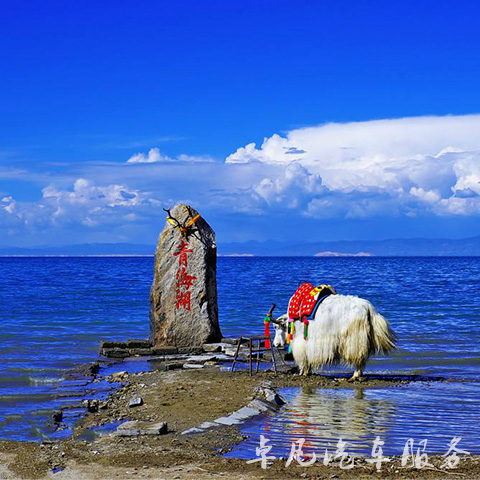 青海卓凡汽车服务有限公司