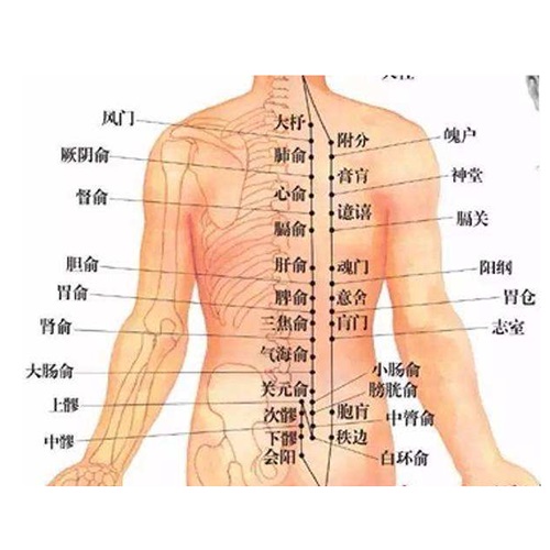 > 主营项目