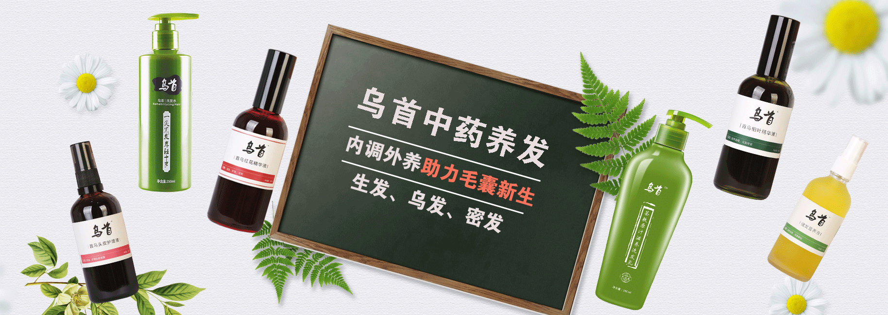 ����ë�һ���-2