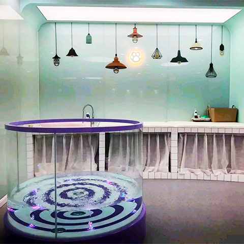 深圳婴幼儿游泳馆加盟