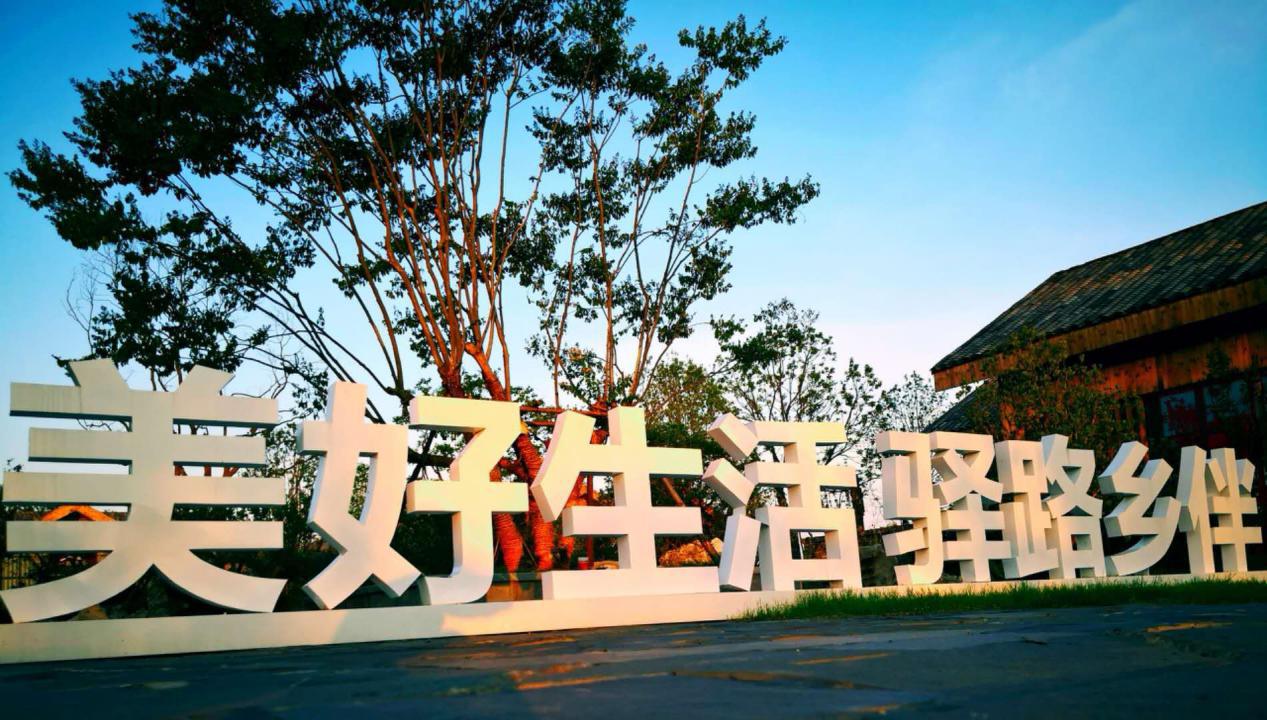卓尔-5