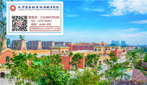 成都东星航空学院空乘专业好吗