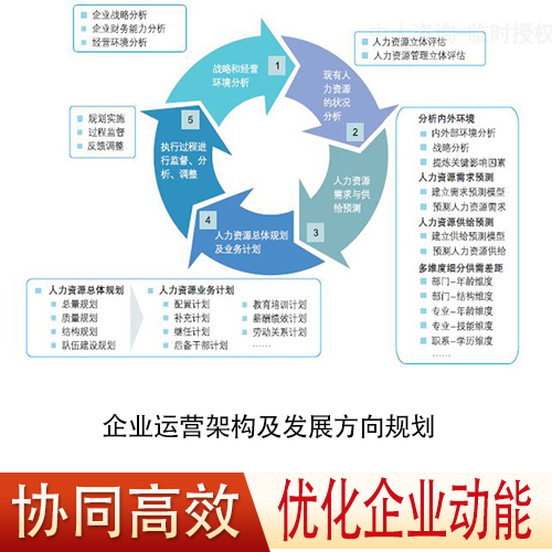 企业运营架构及发展方向规划