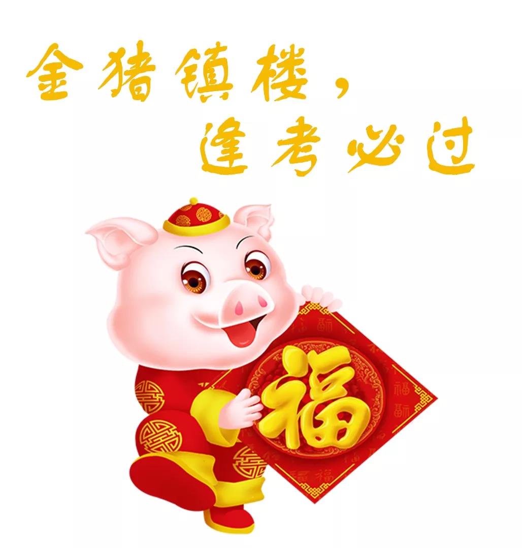 金猪送福新的一年逢考必过