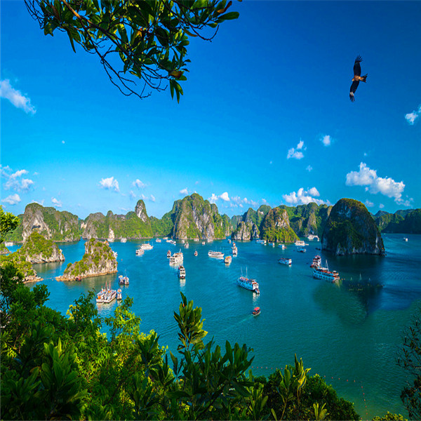 北海出发到越南旅游北海到越南旅游路线北海出发到下龙湾旅程路线