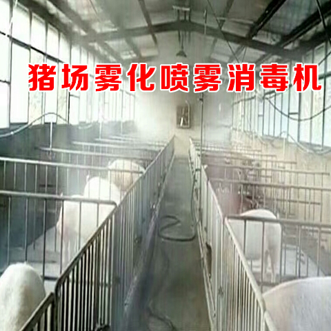 猪场雾化喷雾消毒机-养殖场自动喷雾消毒机