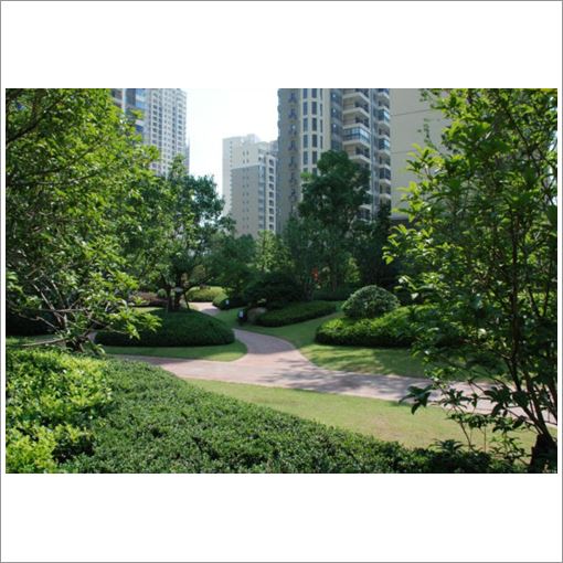 西丽放心景观设计厂家价格_深圳市中广园林绿化有限